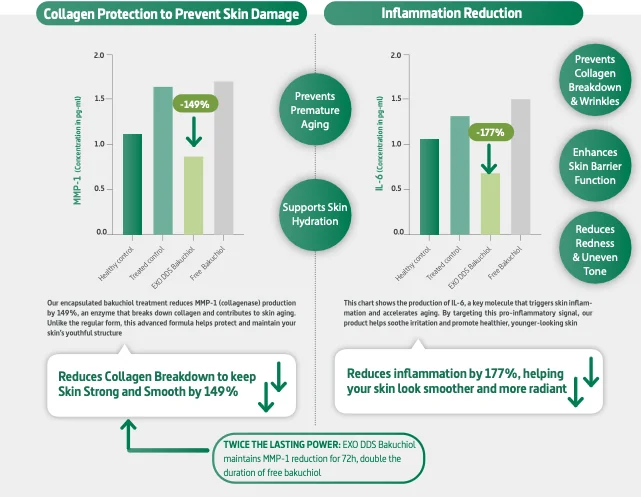 Bar graph showing EXO DDS Bakuchiol's effect on collagen protection and inflammation reduction. The left side displays a -149% reduction in MMP-1 enzyme levels, preventing collagen breakdown, while the right side shows a -177% reduction in IL-6 levels, decreasing inflammation. Benefits include prevention of premature aging, improved hydration, and enhanced skin barrier function.